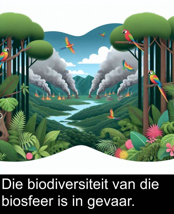 biosfeer: Die biodiversiteit van die biosfeer is in gevaar.