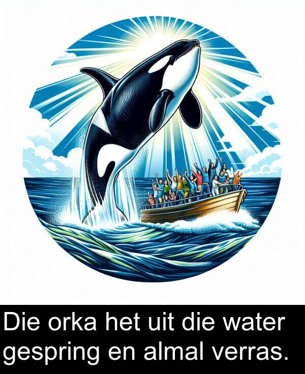 uit: Die orka het uit die water gespring en almal verras.