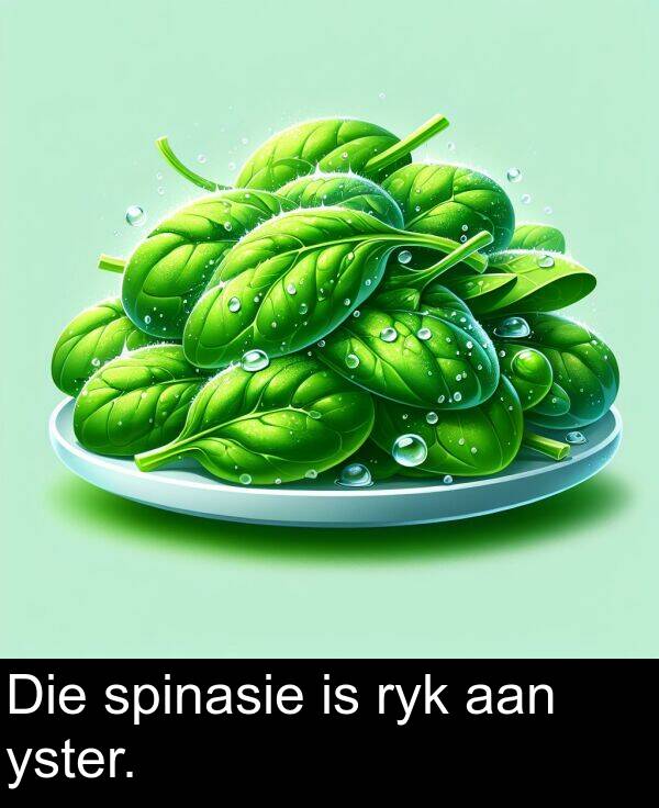 aan: Die spinasie is ryk aan yster.