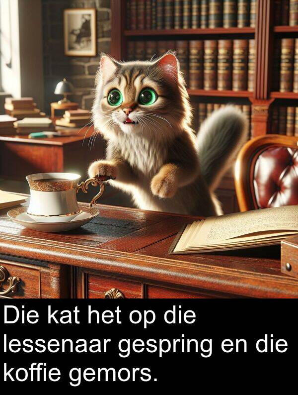 koffie: Die kat het op die lessenaar gespring en die koffie gemors.