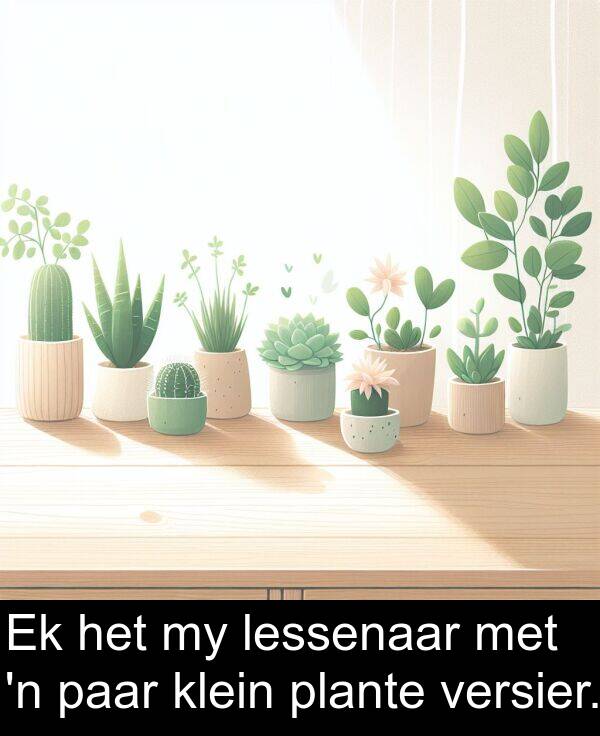 paar: Ek het my lessenaar met 'n paar klein plante versier.