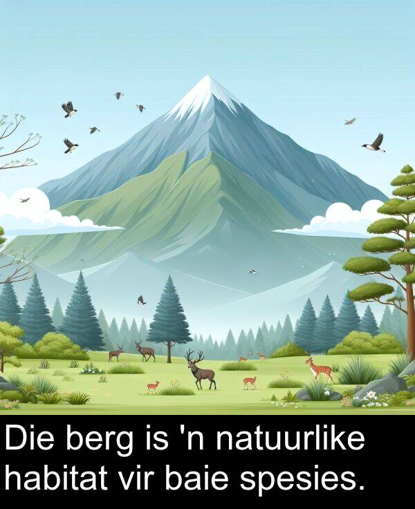 natuurlike: Die berg is 'n natuurlike habitat vir baie spesies.