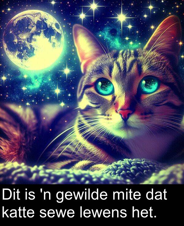 mite: Dit is 'n gewilde mite dat katte sewe lewens het.