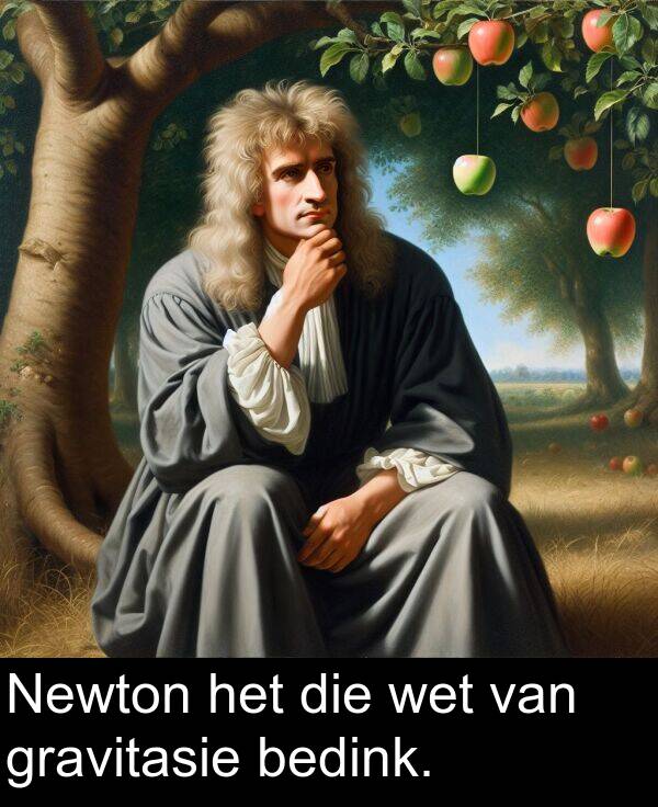 bedink: Newton het die wet van gravitasie bedink.