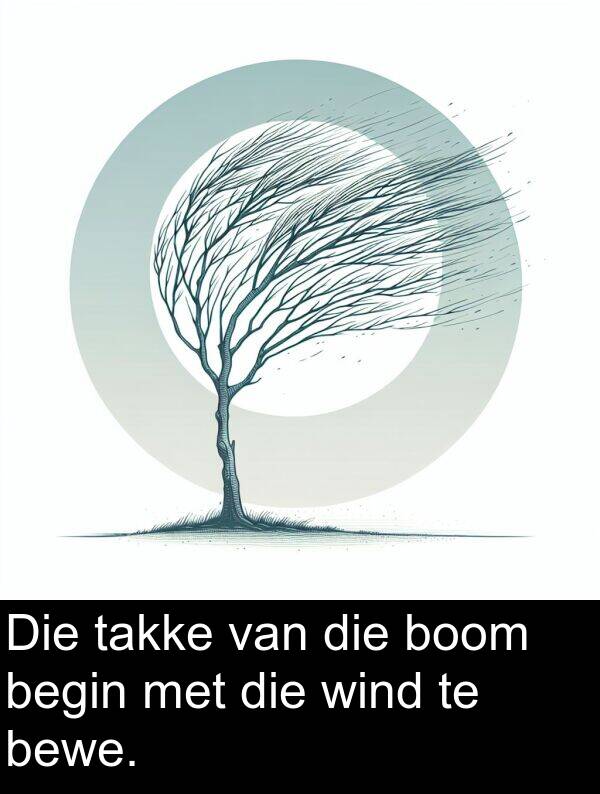 takke: Die takke van die boom begin met die wind te bewe.