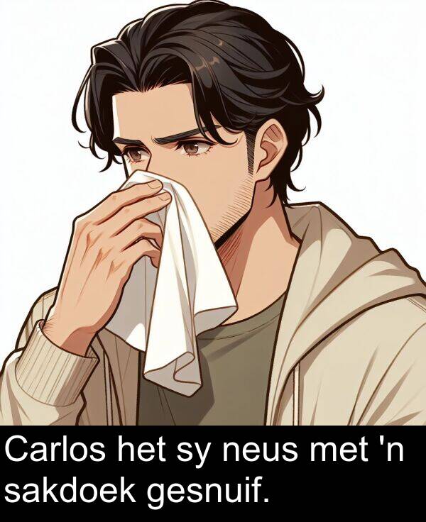 neus: Carlos het sy neus met 'n sakdoek gesnuif.