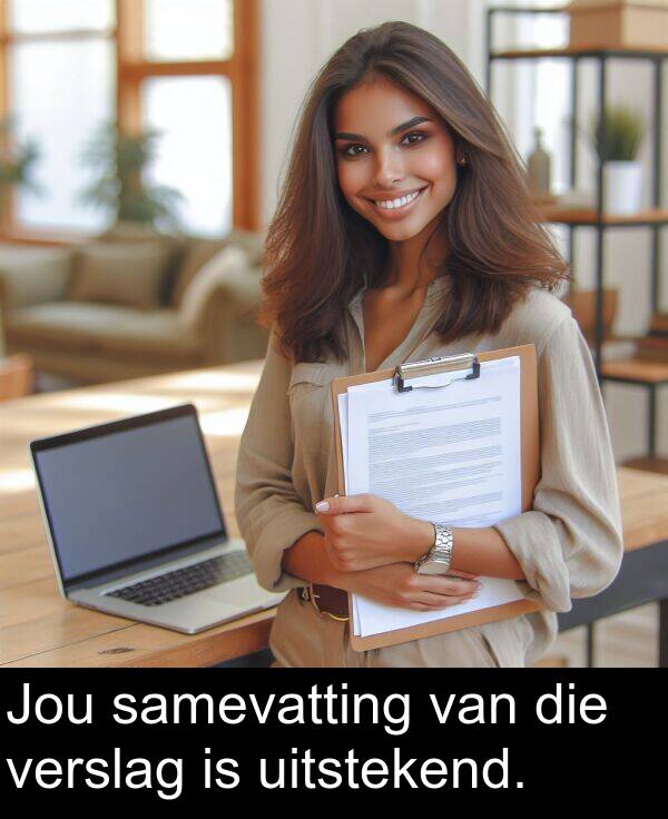 samevatting: Jou samevatting van die verslag is uitstekend.