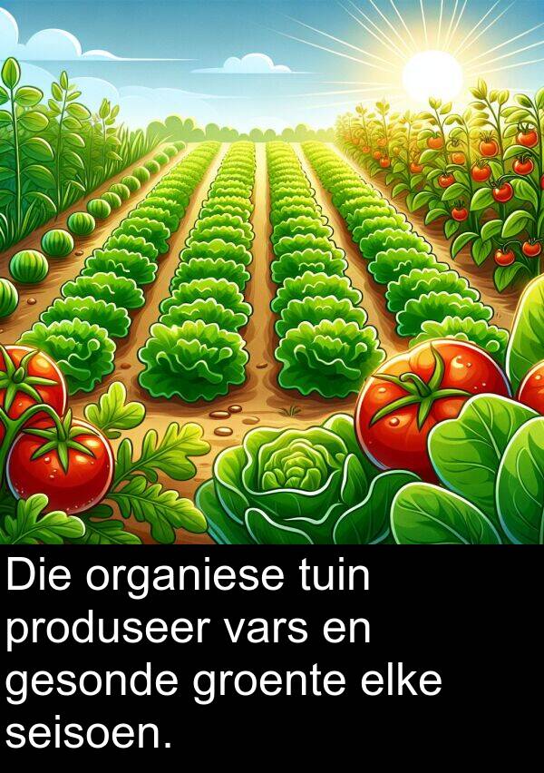 tuin: Die organiese tuin produseer vars en gesonde groente elke seisoen.