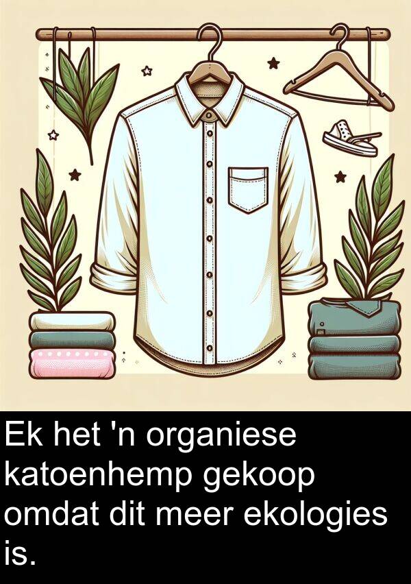 katoenhemp: Ek het 'n organiese katoenhemp gekoop omdat dit meer ekologies is.