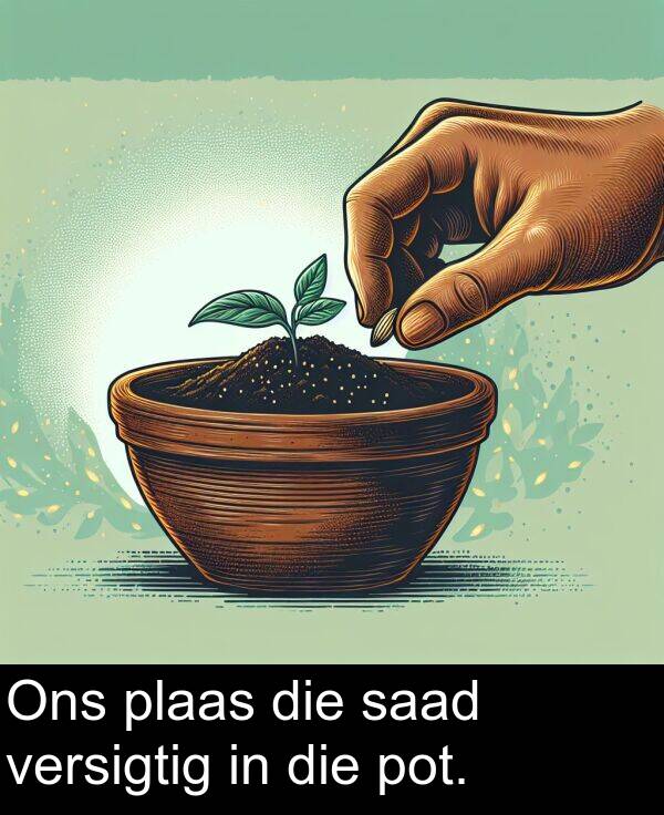 pot: Ons plaas die saad versigtig in die pot.