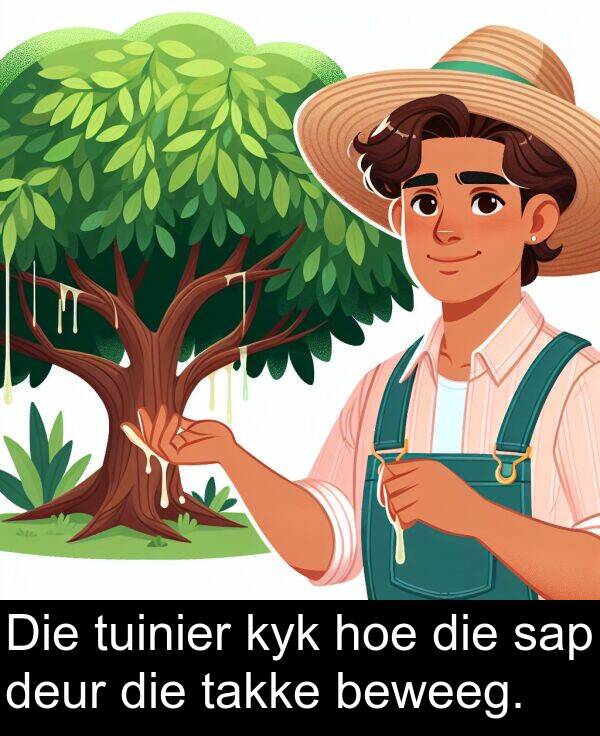 takke: Die tuinier kyk hoe die sap deur die takke beweeg.