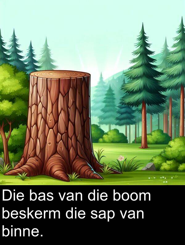 beskerm: Die bas van die boom beskerm die sap van binne.