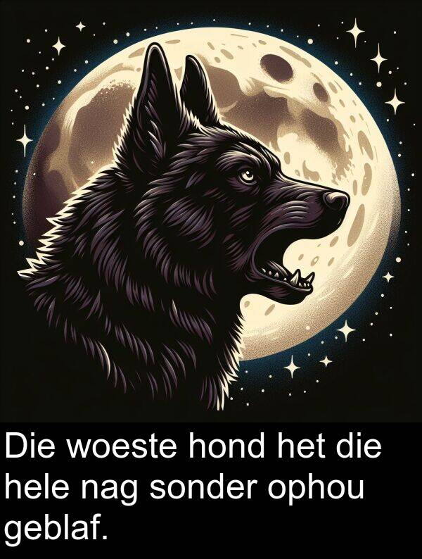 hond: Die woeste hond het die hele nag sonder ophou geblaf.