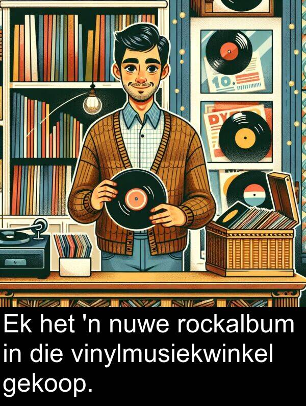 gekoop: Ek het 'n nuwe rockalbum in die vinylmusiekwinkel gekoop.