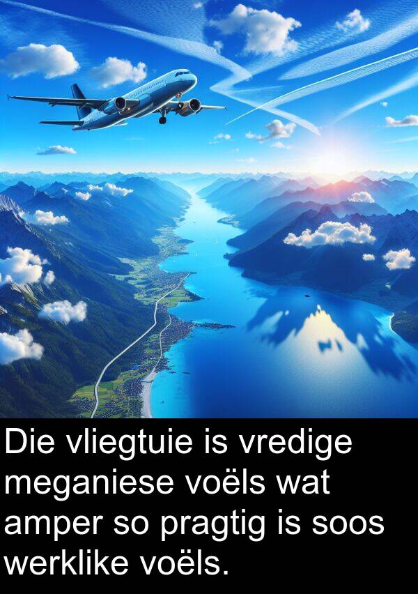 pragtig: Die vliegtuie is vredige meganiese voëls wat amper so pragtig is soos werklike voëls.