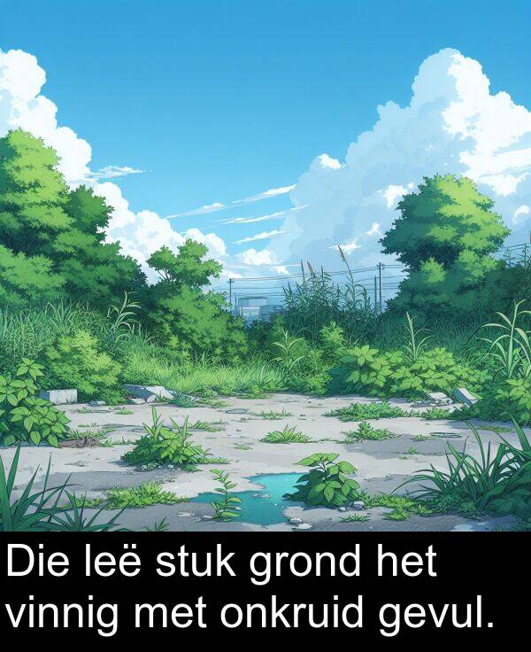 leë: Die leë stuk grond het vinnig met onkruid gevul.