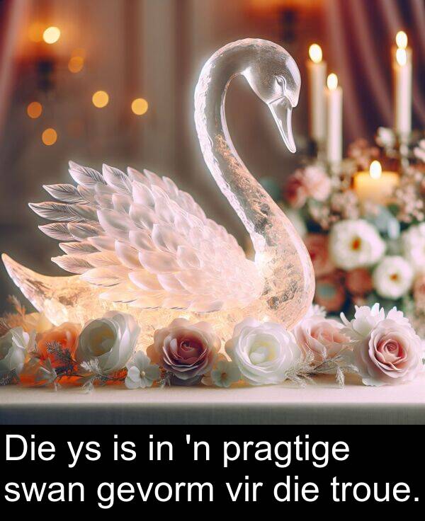 pragtige: Die ys is in 'n pragtige swan gevorm vir die troue.