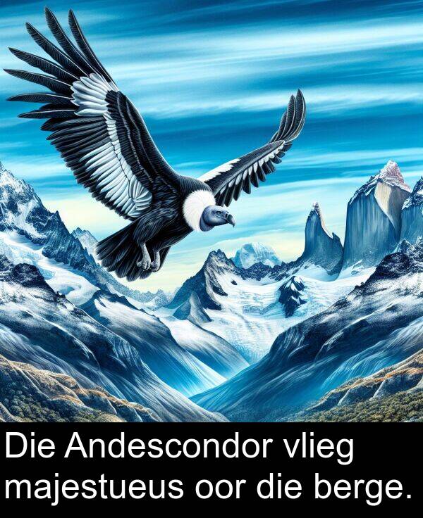 berge: Die Andescondor vlieg majestueus oor die berge.