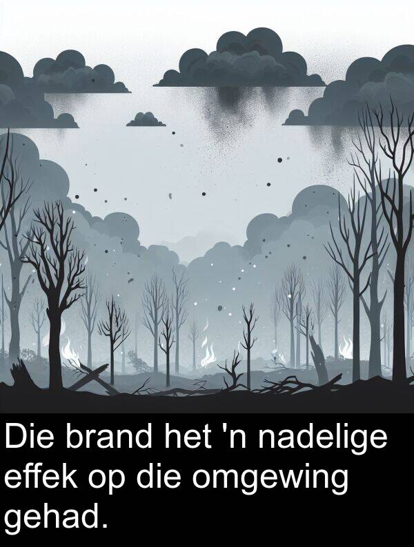 nadelige: Die brand het 'n nadelige effek op die omgewing gehad.