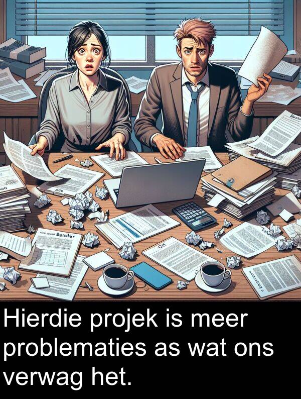 problematies: Hierdie projek is meer problematies as wat ons verwag het.