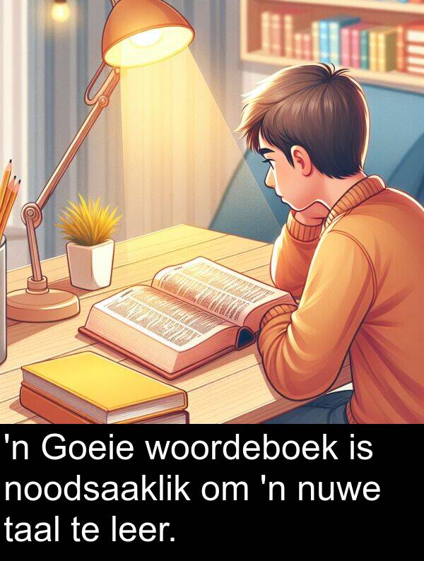 noodsaaklik: 'n Goeie woordeboek is noodsaaklik om 'n nuwe taal te leer.