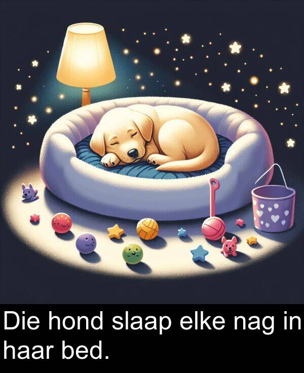 hond: Die hond slaap elke nag in haar bed.