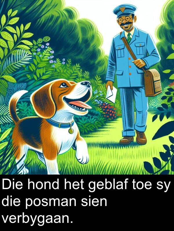 toe: Die hond het geblaf toe sy die posman sien verbygaan.