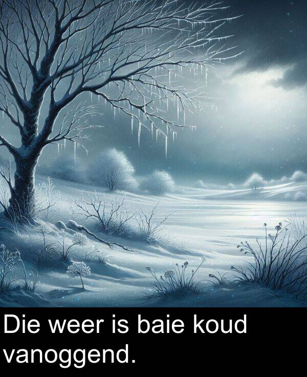 baie: Die weer is baie koud vanoggend.