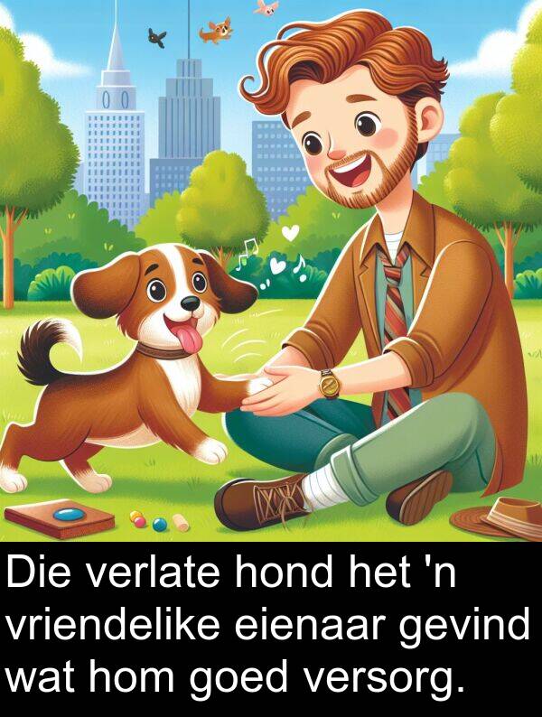 hom: Die verlate hond het 'n vriendelike eienaar gevind wat hom goed versorg.