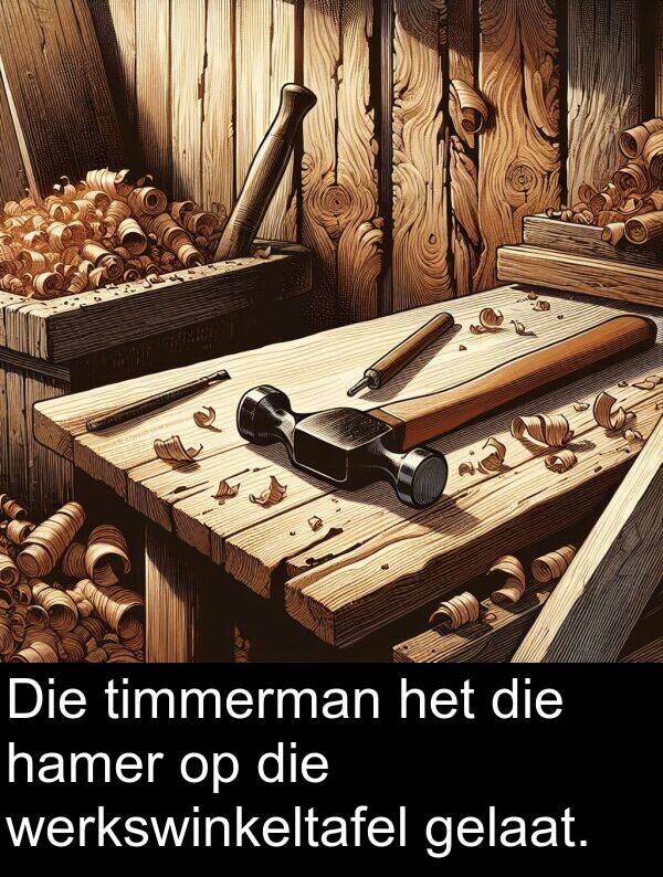 timmerman: Die timmerman het die hamer op die werkswinkeltafel gelaat.