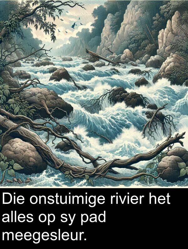 pad: Die onstuimige rivier het alles op sy pad meegesleur.