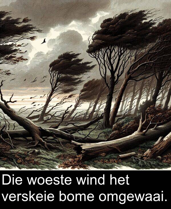 wind: Die woeste wind het verskeie bome omgewaai.