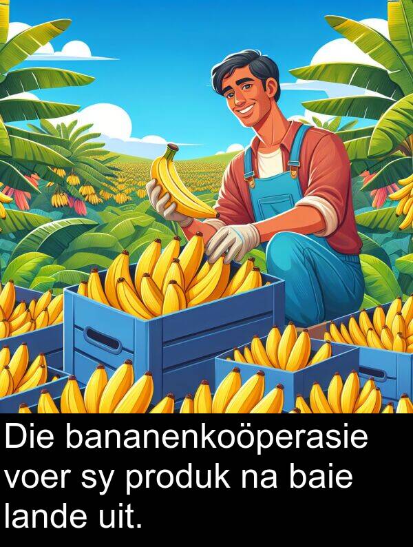 produk: Die bananenkoöperasie voer sy produk na baie lande uit.