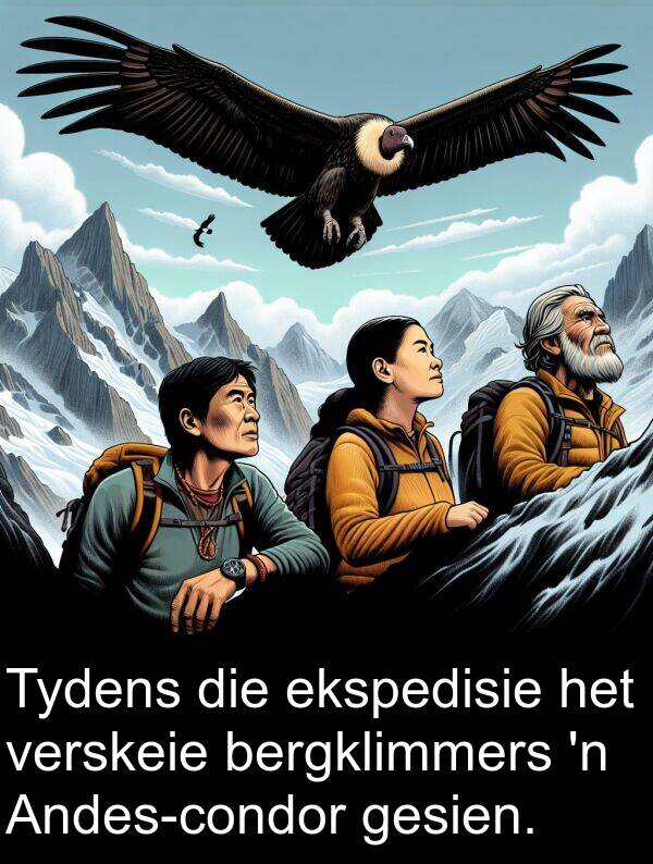 bergklimmers: Tydens die ekspedisie het verskeie bergklimmers 'n Andes-condor gesien.