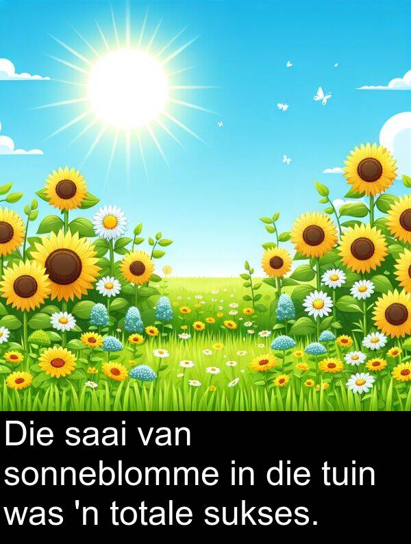 tuin: Die saai van sonneblomme in die tuin was 'n totale sukses.