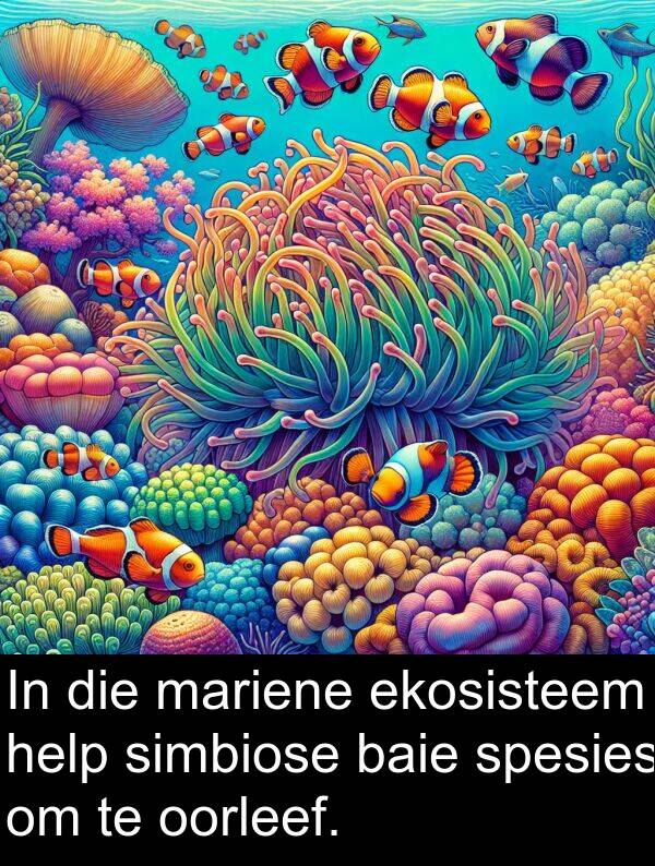 help: In die mariene ekosisteem help simbiose baie spesies om te oorleef.