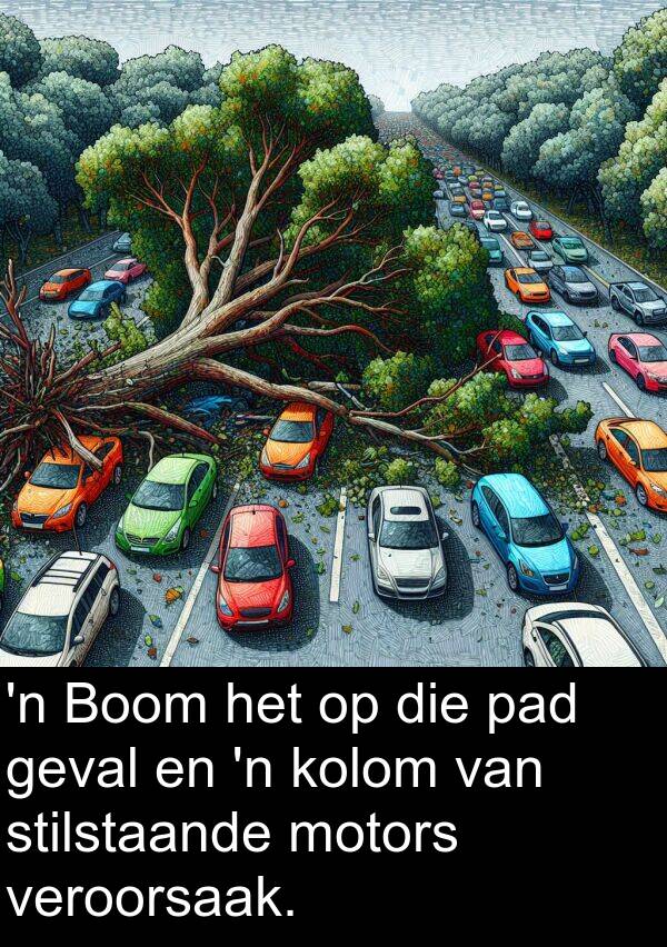 veroorsaak: 'n Boom het op die pad geval en 'n kolom van stilstaande motors veroorsaak.