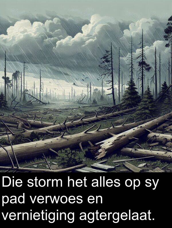 pad: Die storm het alles op sy pad verwoes en vernietiging agtergelaat.