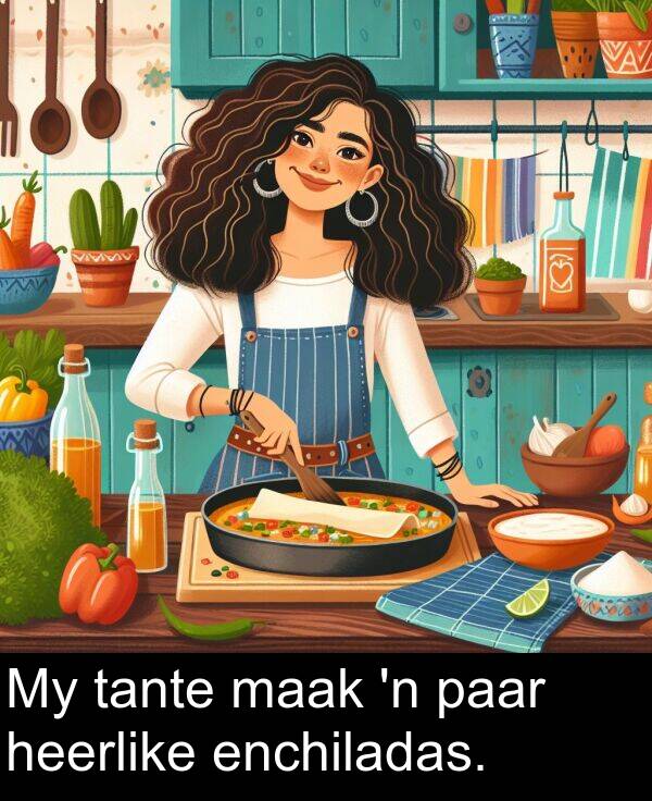 tante: My tante maak 'n paar heerlike enchiladas.