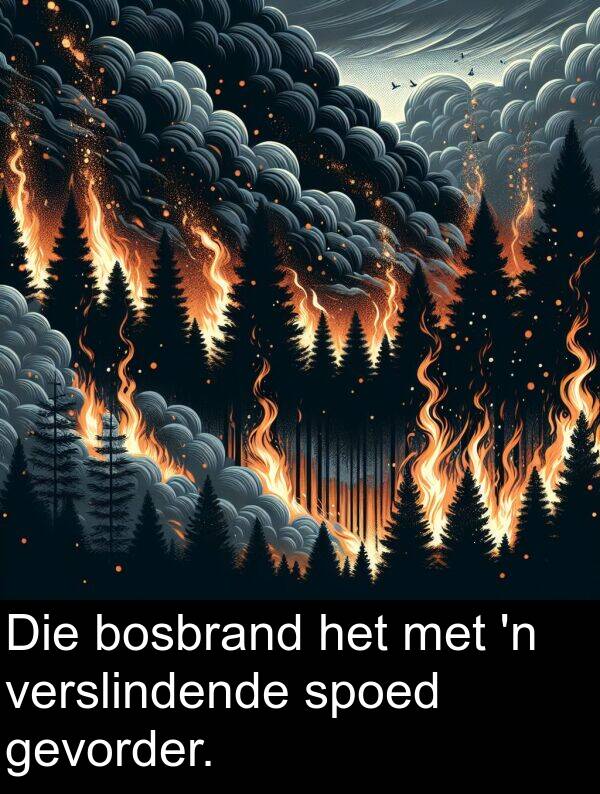 bosbrand: Die bosbrand het met 'n verslindende spoed gevorder.