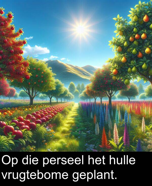 hulle: Op die perseel het hulle vrugtebome geplant.