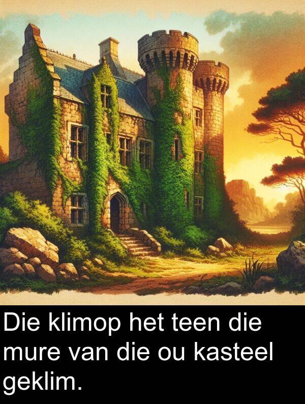 geklim: Die klimop het teen die mure van die ou kasteel geklim.