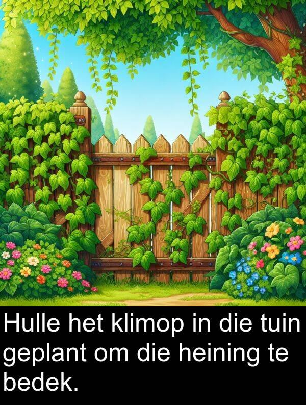 tuin: Hulle het klimop in die tuin geplant om die heining te bedek.