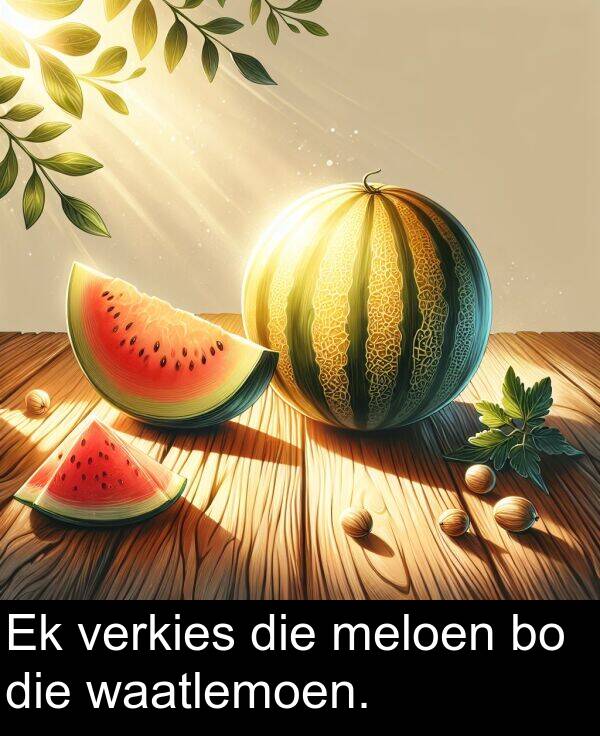 meloen: Ek verkies die meloen bo die waatlemoen.