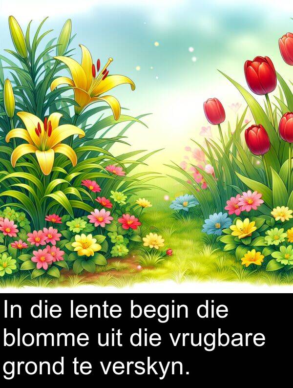 begin: In die lente begin die blomme uit die vrugbare grond te verskyn.