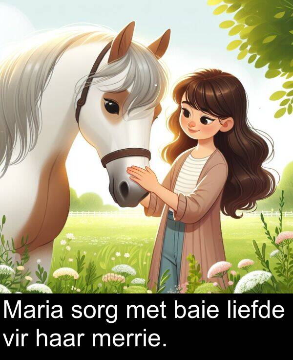 haar: Maria sorg met baie liefde vir haar merrie.