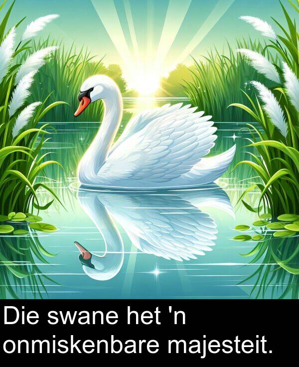 majesteit: Die swane het 'n onmiskenbare majesteit.