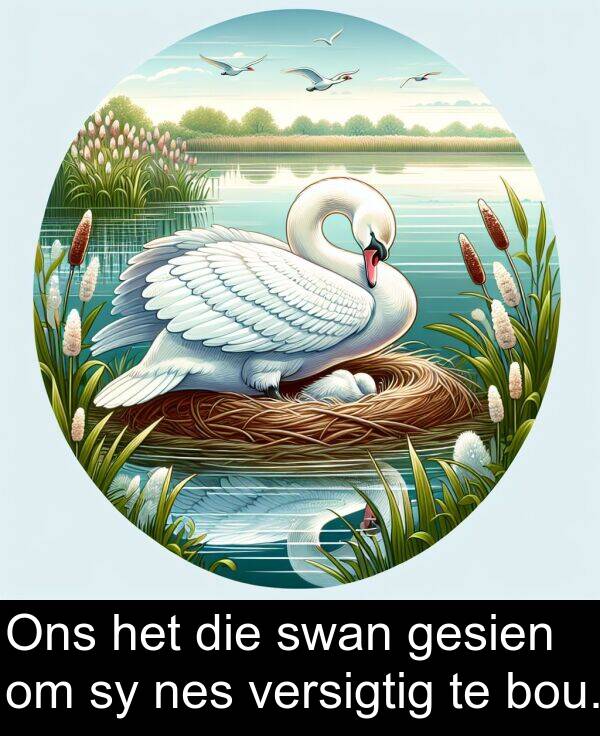 nes: Ons het die swan gesien om sy nes versigtig te bou.