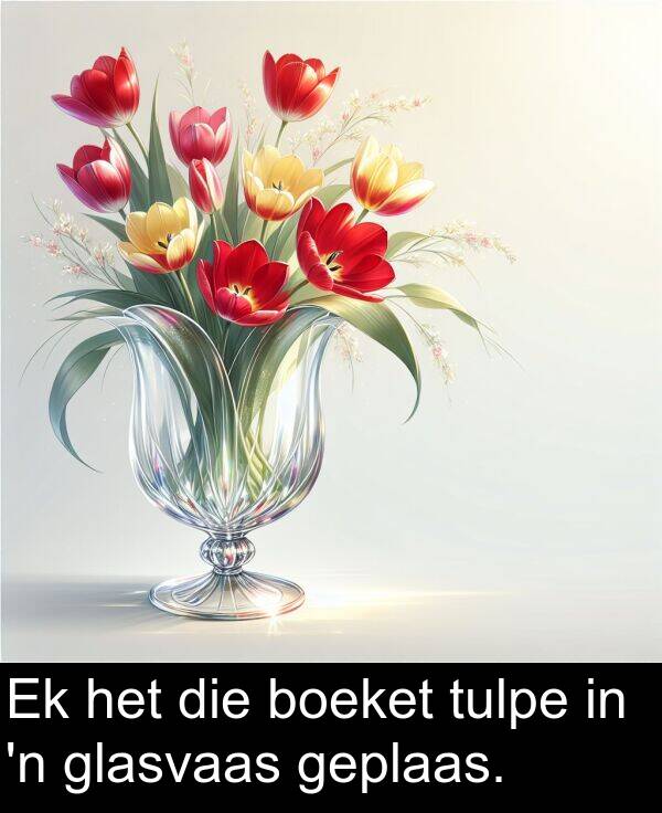 boeket: Ek het die boeket tulpe in 'n glasvaas geplaas.