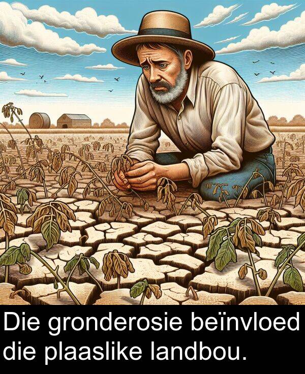 plaaslike: Die gronderosie beïnvloed die plaaslike landbou.